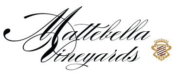 Mattebella Vineyards logo